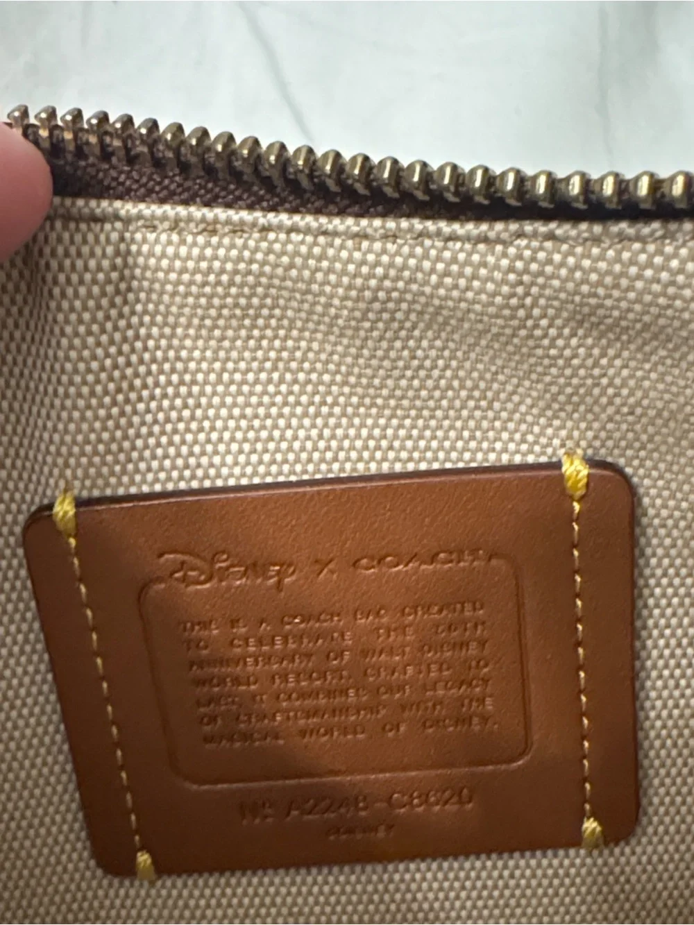 Disney x Coach 50th anniversary crossbody